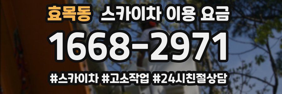 효목동 스카이차 이용 요금
