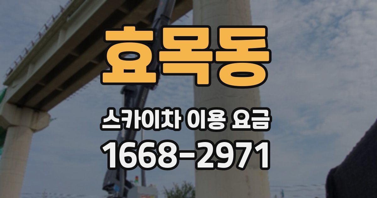 효목동 스카이차 이용 요금