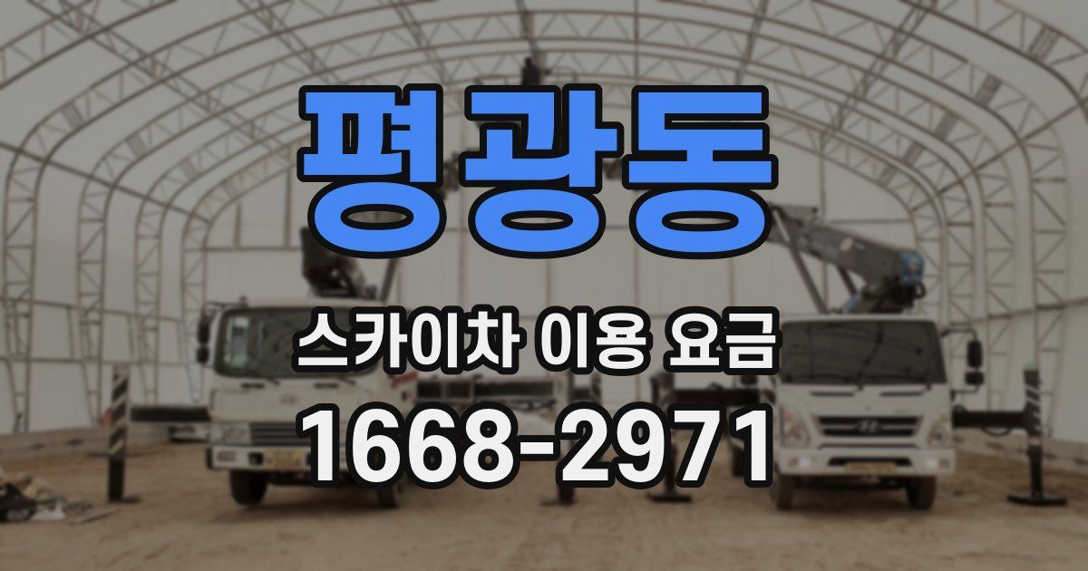 평광동 스카이차 이용 요금