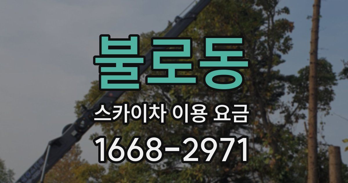 불로동 스카이차 이용 요금