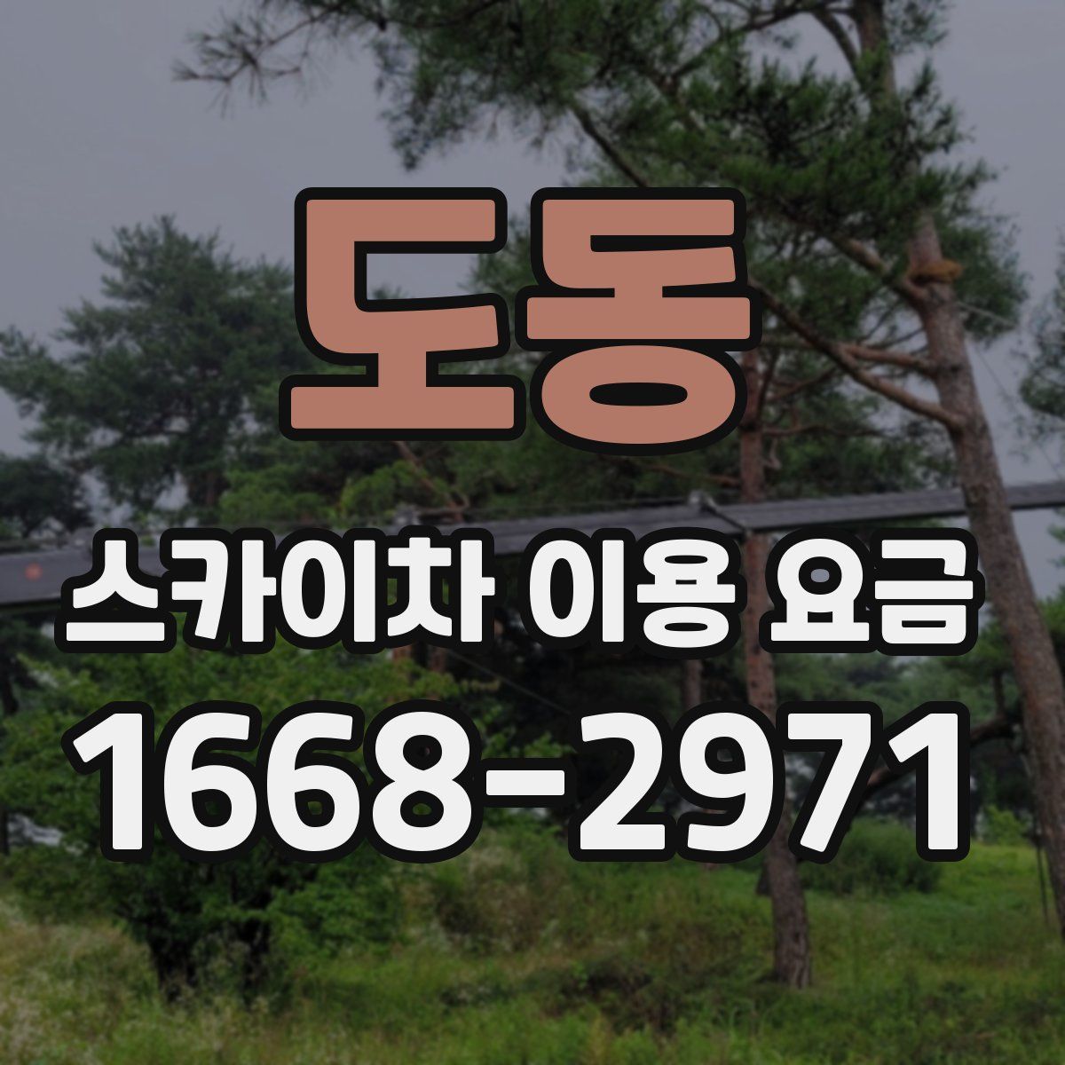 도동 스카이차 이용 요금