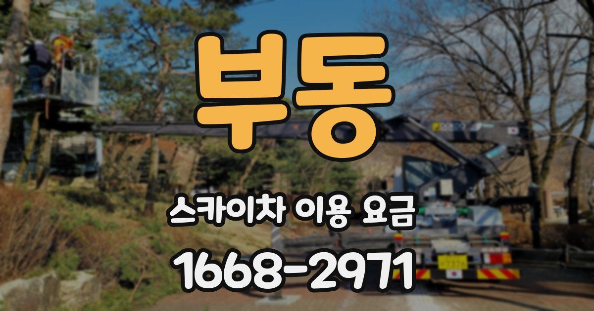 부동 스카이차 이용 요금
