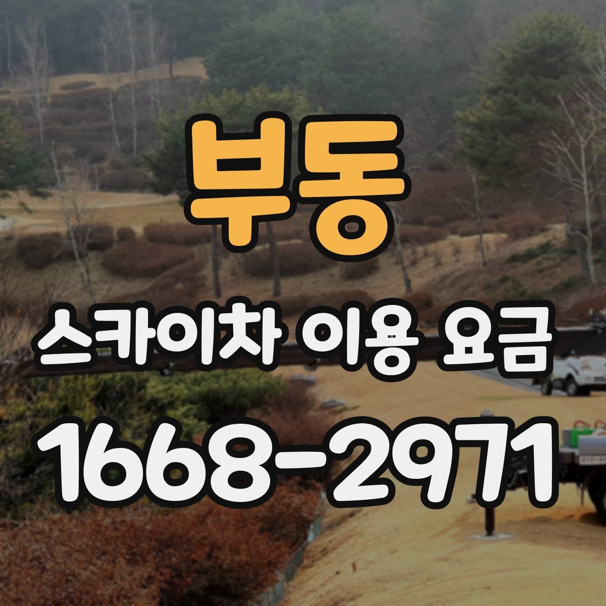 부동 스카이차 이용 요금