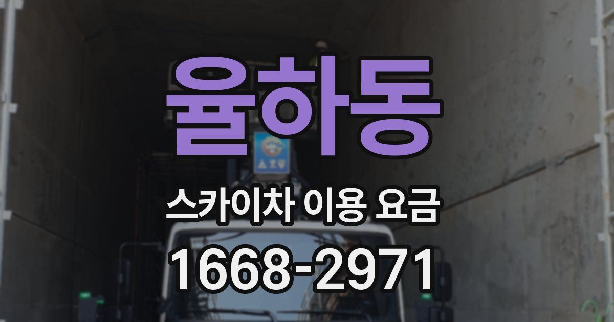 율하동 스카이차 이용 요금