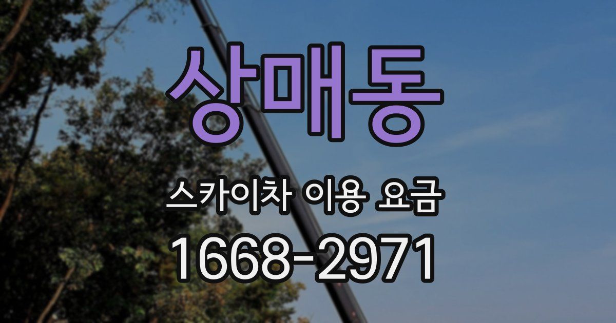 상매동 스카이차 이용 요금
