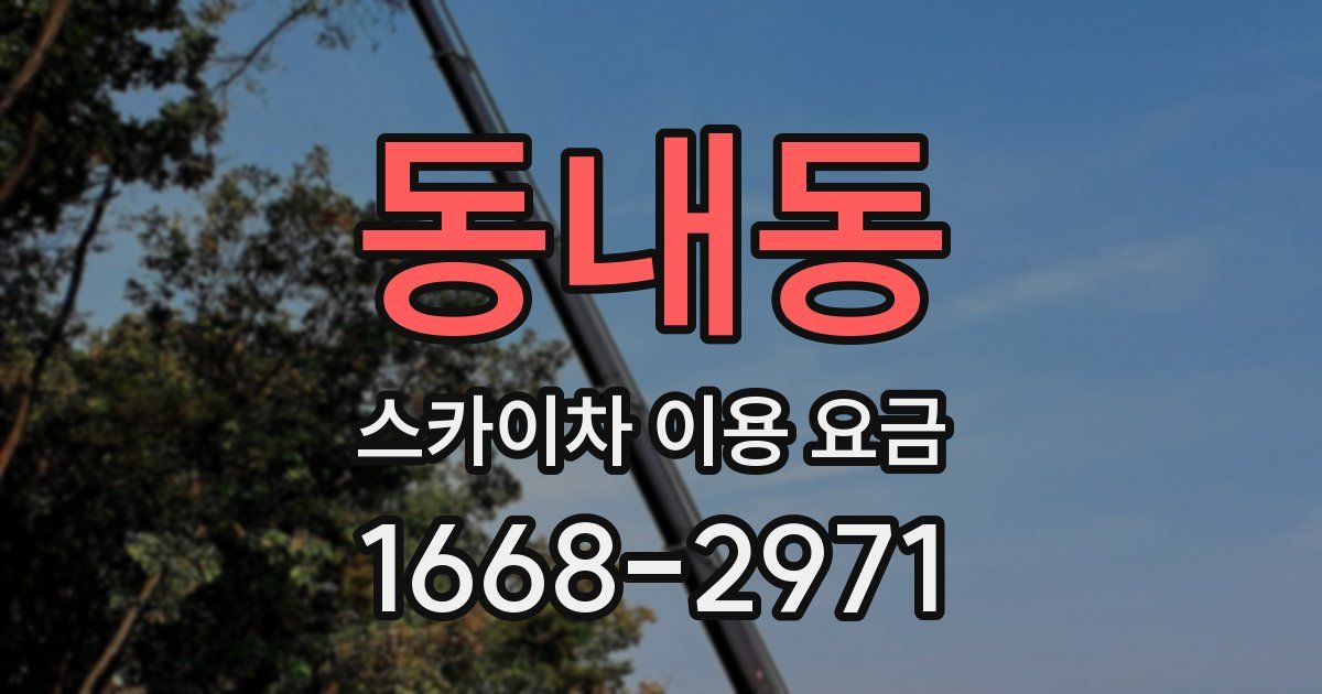 동내동 스카이차 이용 요금