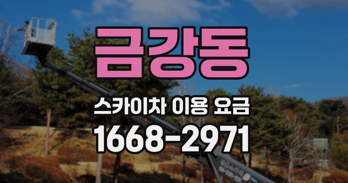 금강동 스카이차 이용 요금