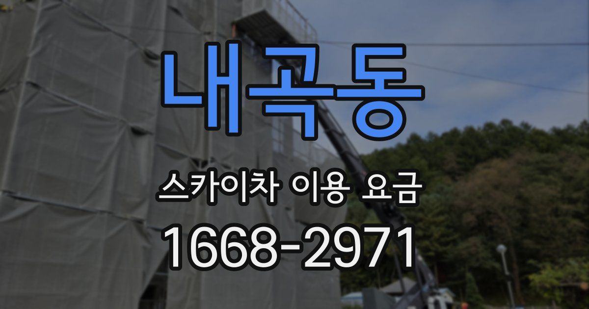 내곡동 스카이차 이용 요금