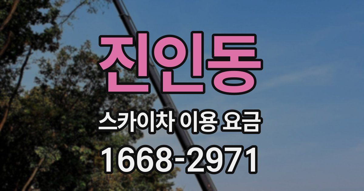 진인동 스카이차 이용 요금