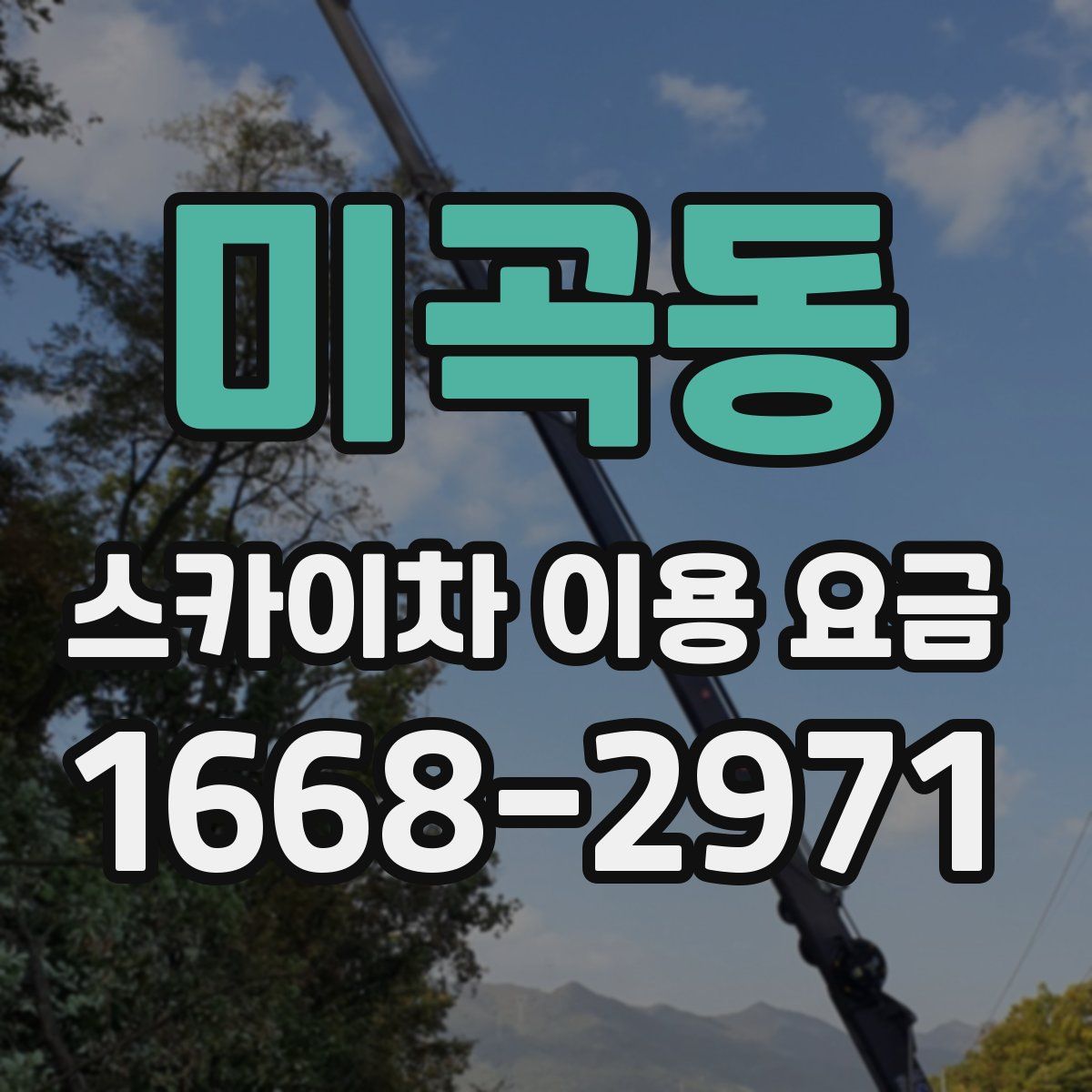 미곡동 스카이차 이용 요금