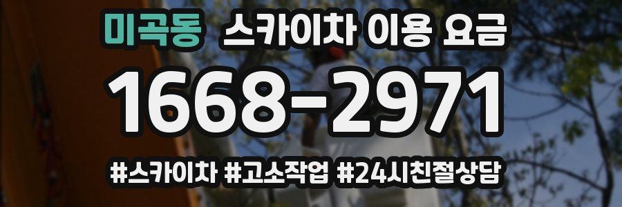 미곡동 스카이차 이용 요금