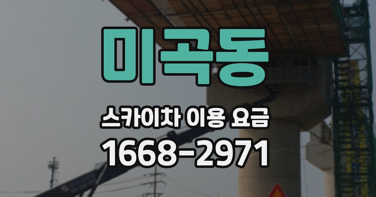 미곡동 스카이차 이용 요금