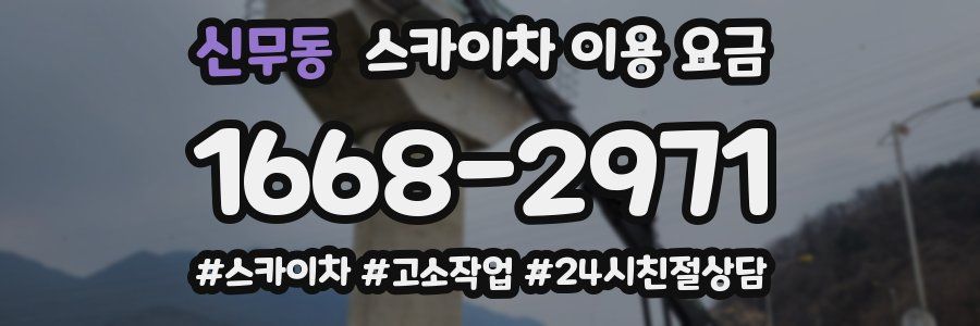 신무동 스카이차 이용 요금