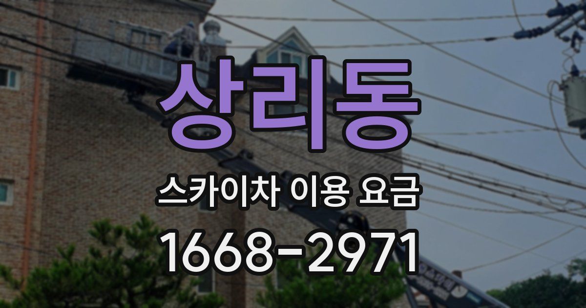 상리동 스카이차 이용 요금