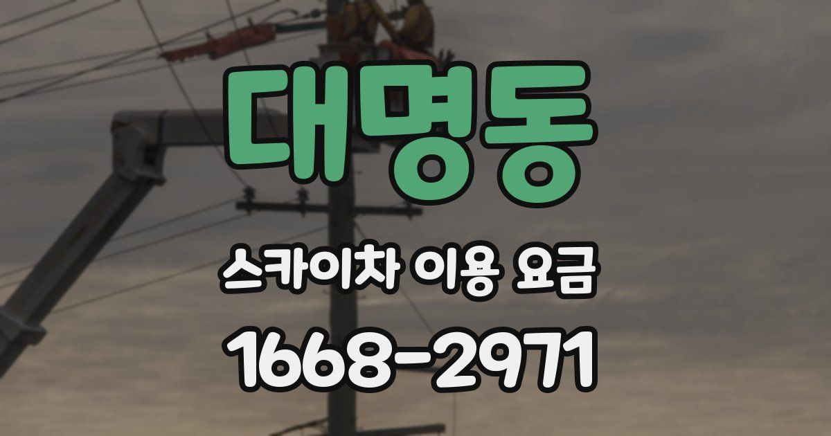 대명동 스카이차 이용 요금