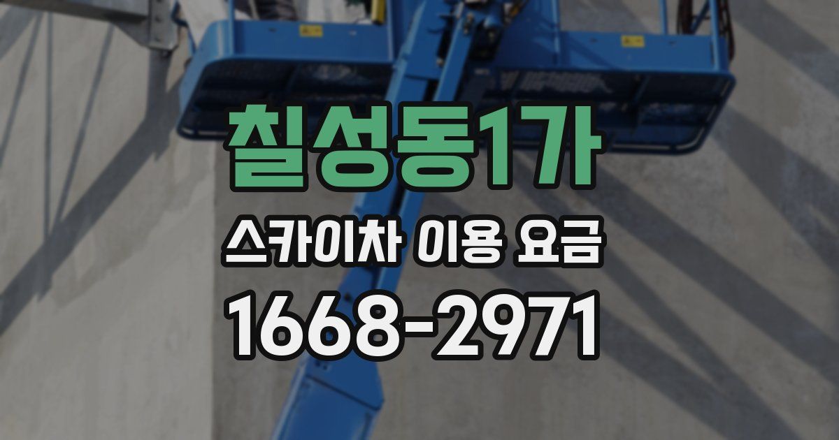 칠성동1가 스카이차 이용 요금
