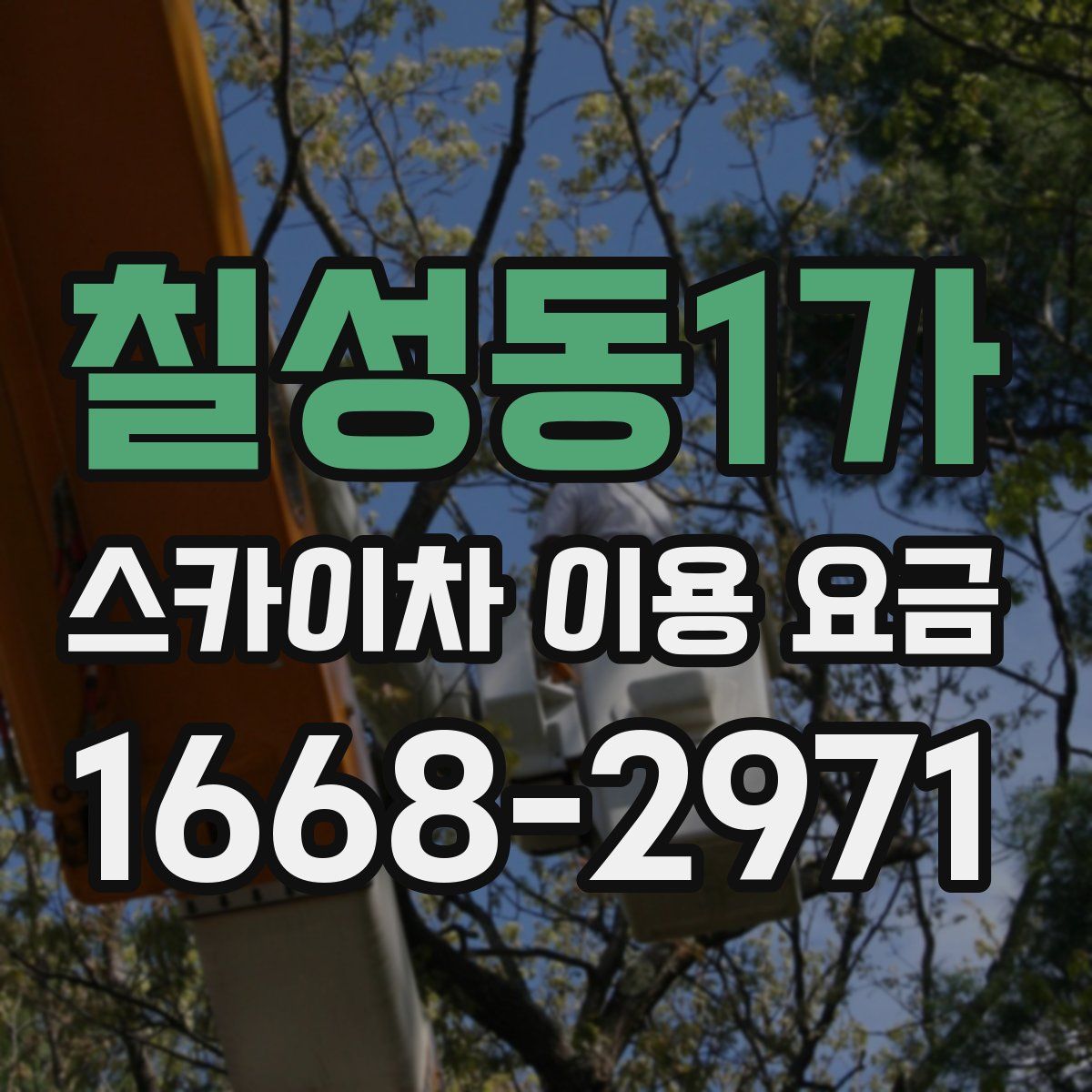 칠성동1가 스카이차 이용 요금