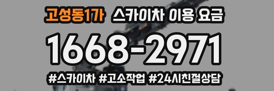 고성동1가 스카이차 이용 요금