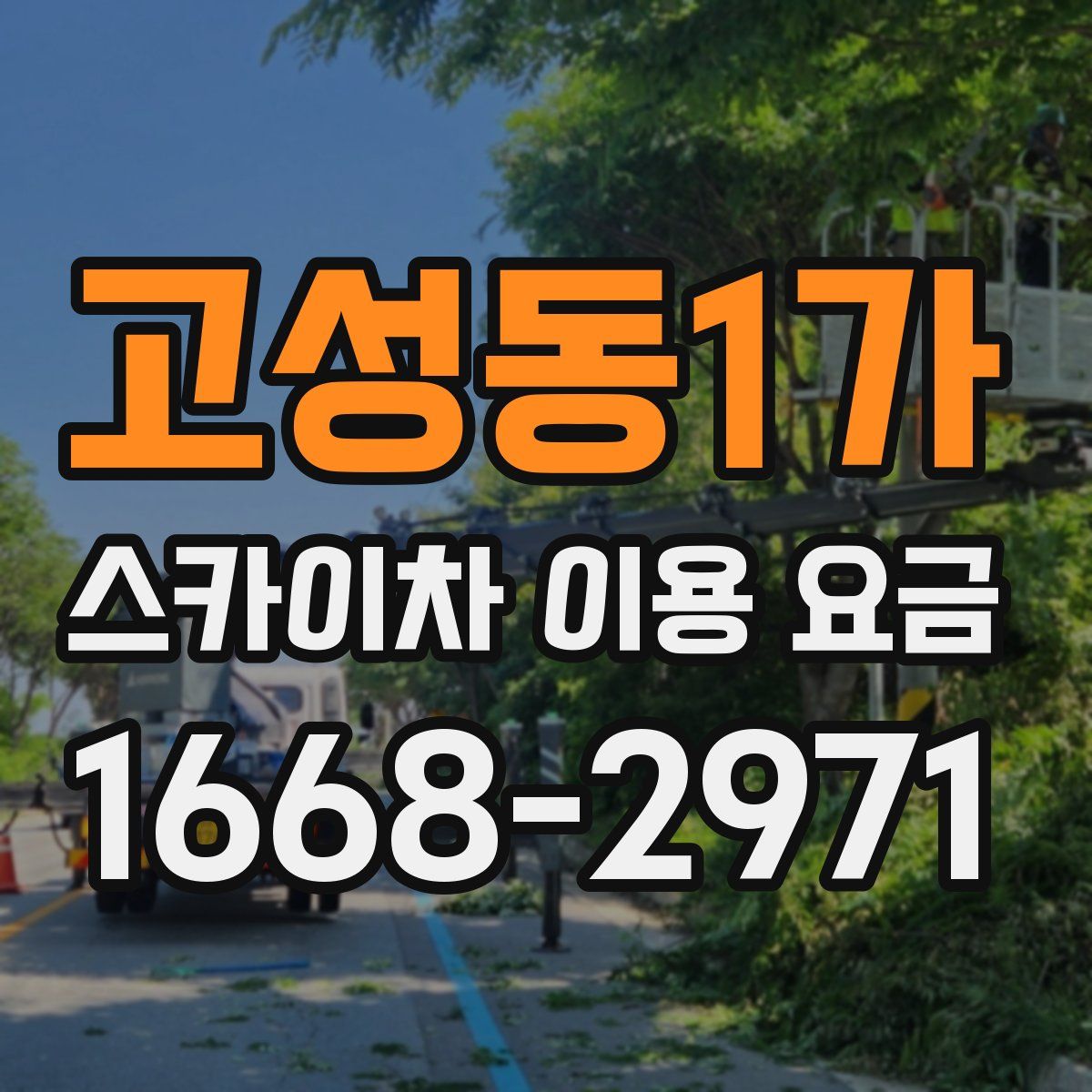 고성동1가 스카이차 이용 요금