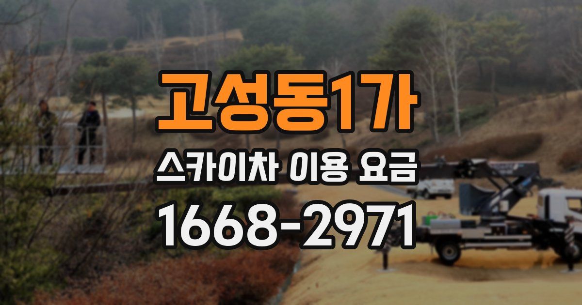 고성동1가 스카이차 이용 요금