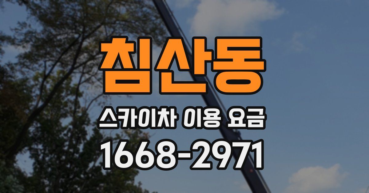 침산동 스카이차 이용 요금