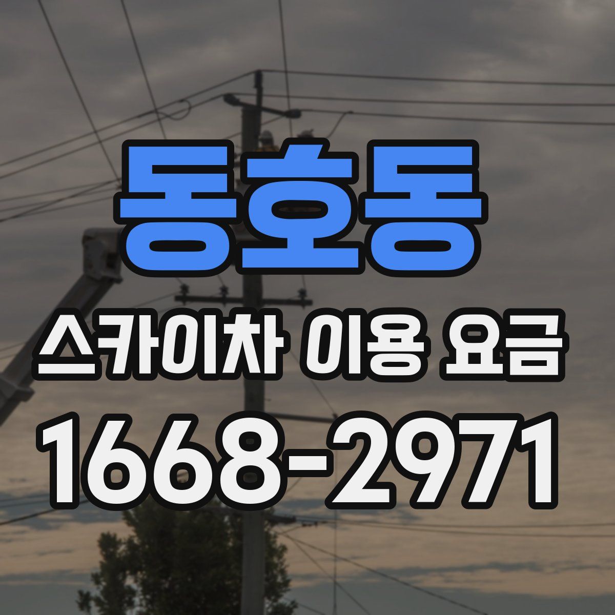 동호동 스카이차 이용 요금