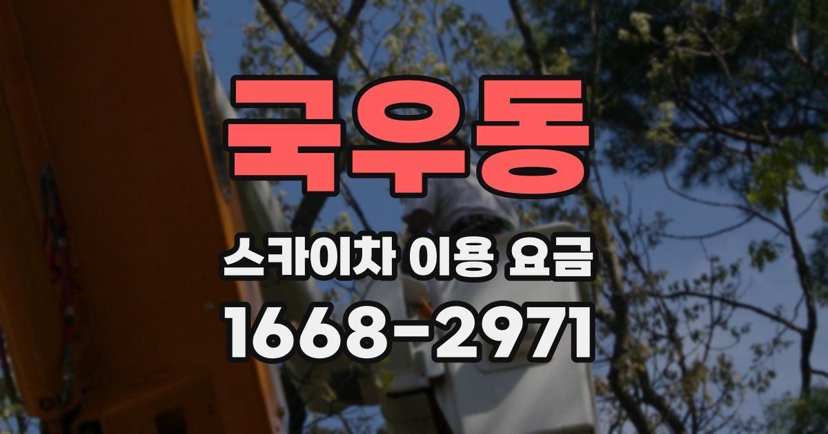 국우동 스카이차 이용 요금