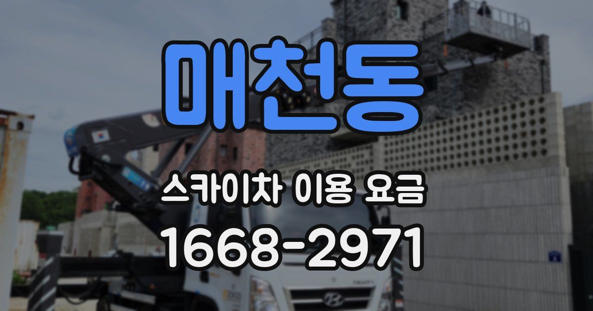 매천동 스카이차 이용 요금