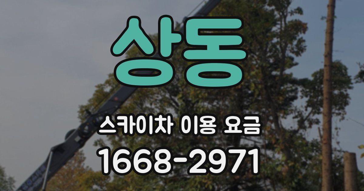 상동 스카이차 이용 요금