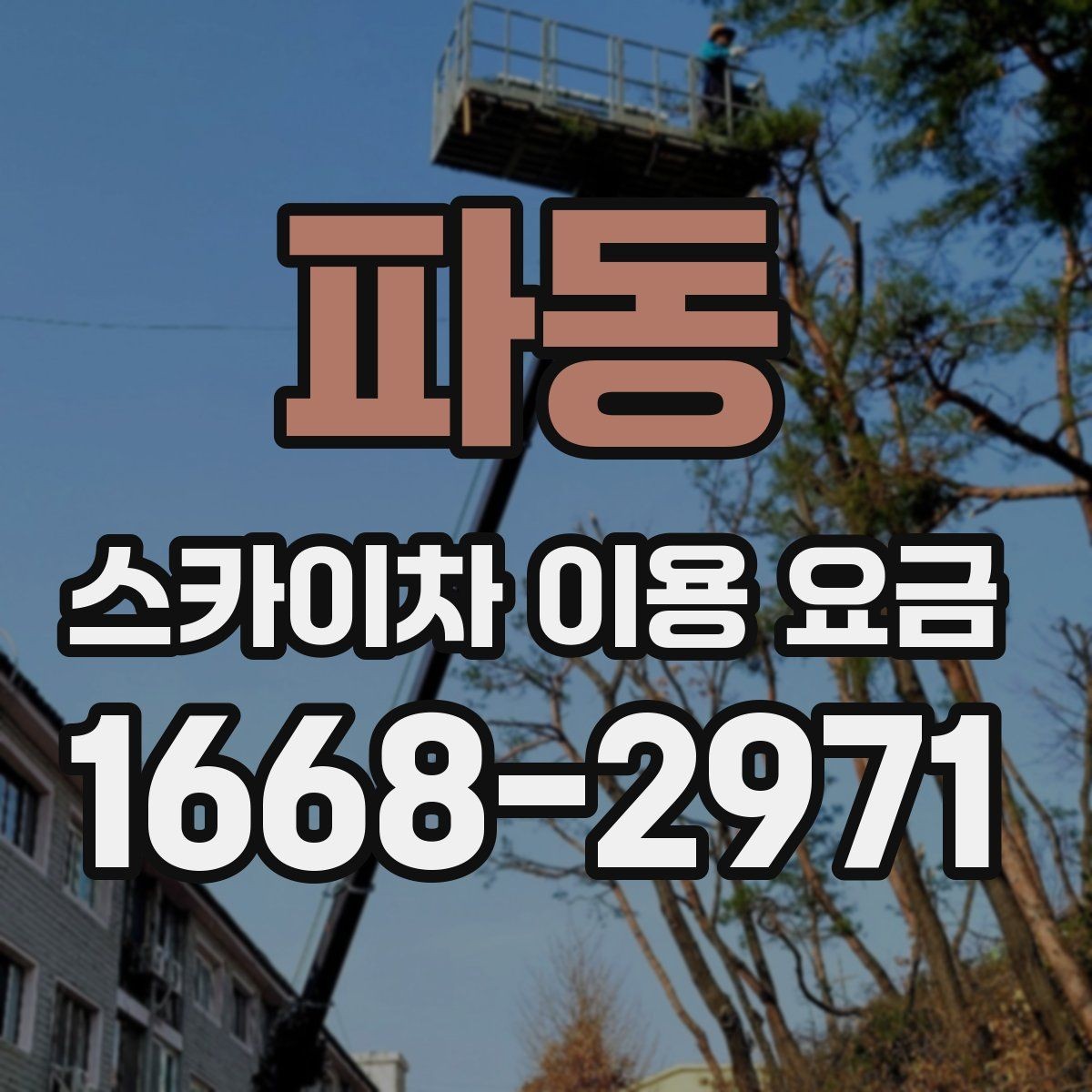파동 스카이차 이용 요금 비교, 가격만 보면 안 되는 이유