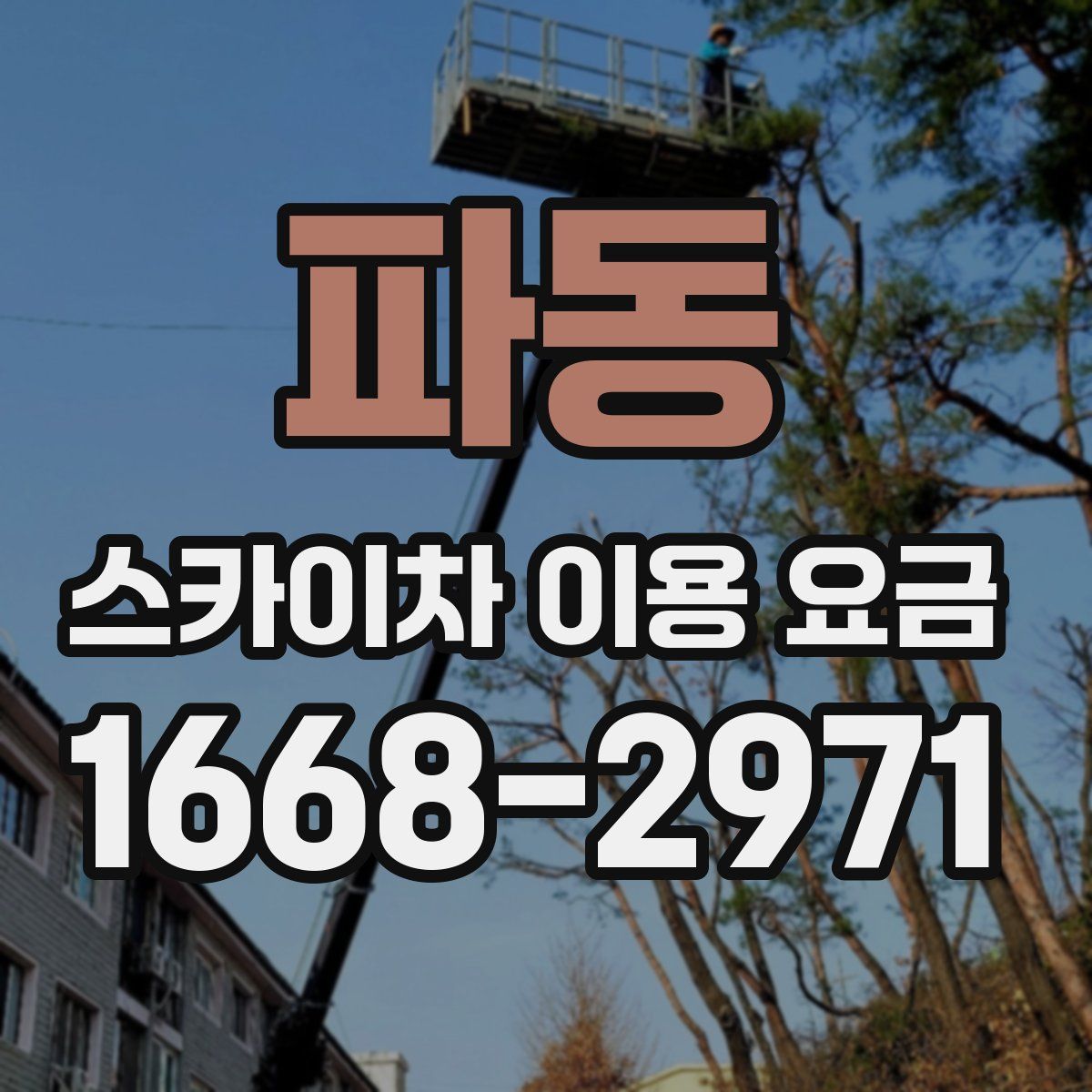파동 스카이차 이용 요금