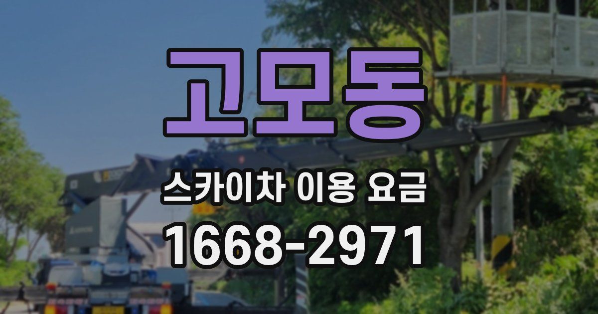 고모동 스카이차 이용 요금