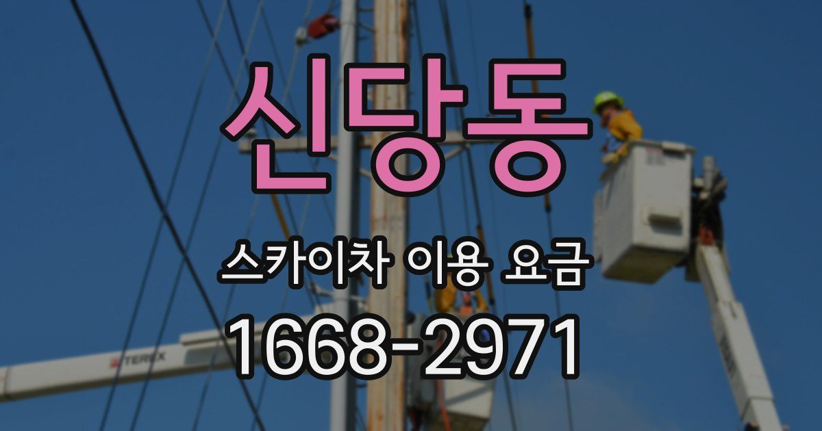 신당동 스카이차 이용 요금