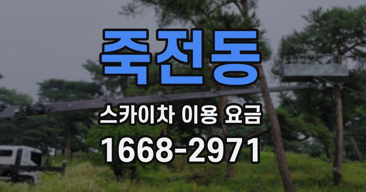 죽전동 스카이차 이용 요금