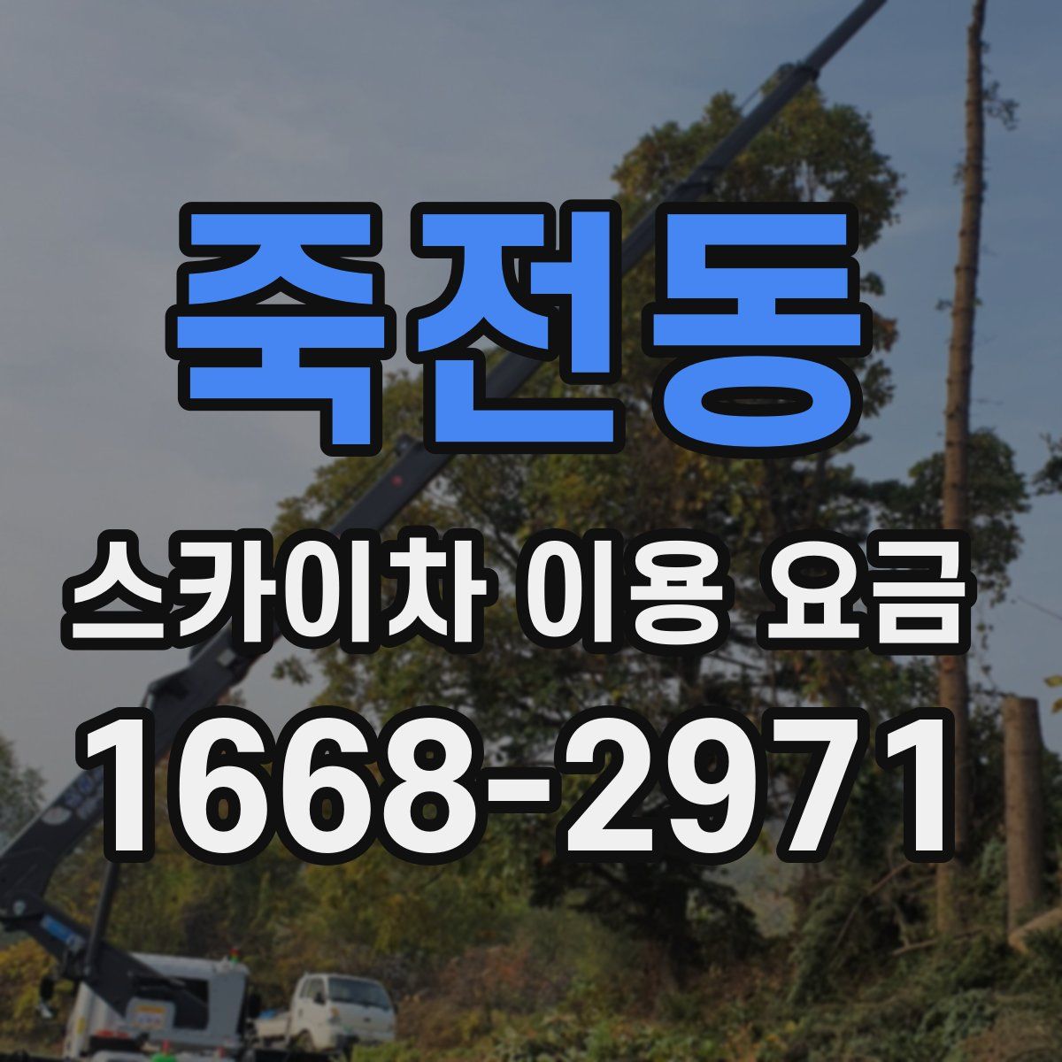 죽전동 스카이차 이용 요금