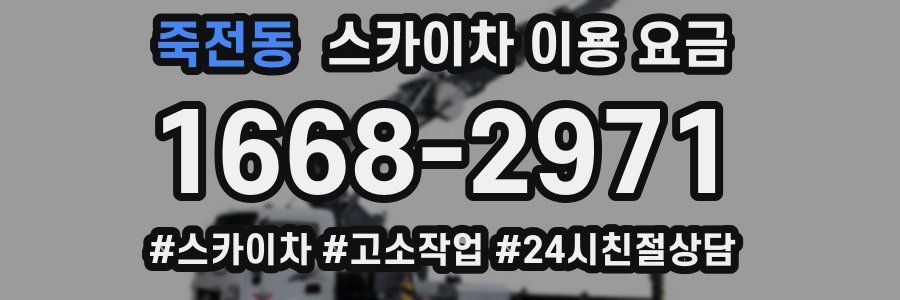 죽전동 스카이차 이용 요금