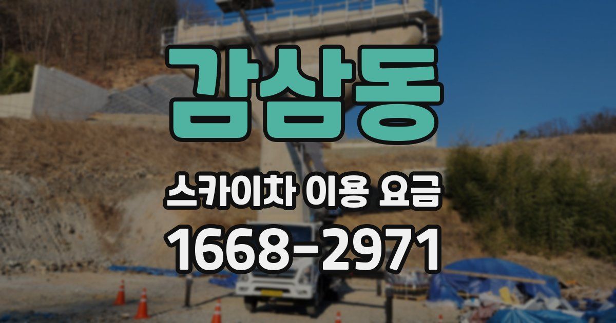 감삼동 스카이차 이용 요금