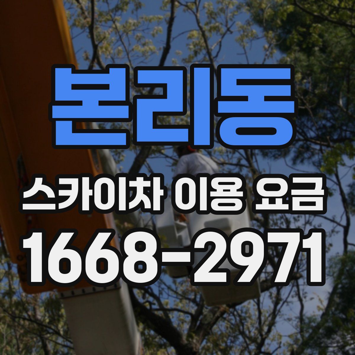 본리동 스카이차 이용 요금