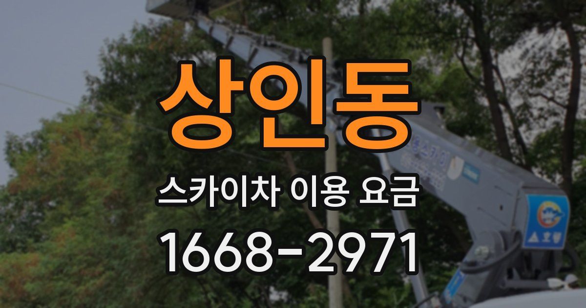 상인동 스카이차 이용 요금
