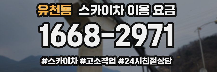 유천동 스카이차 이용 요금