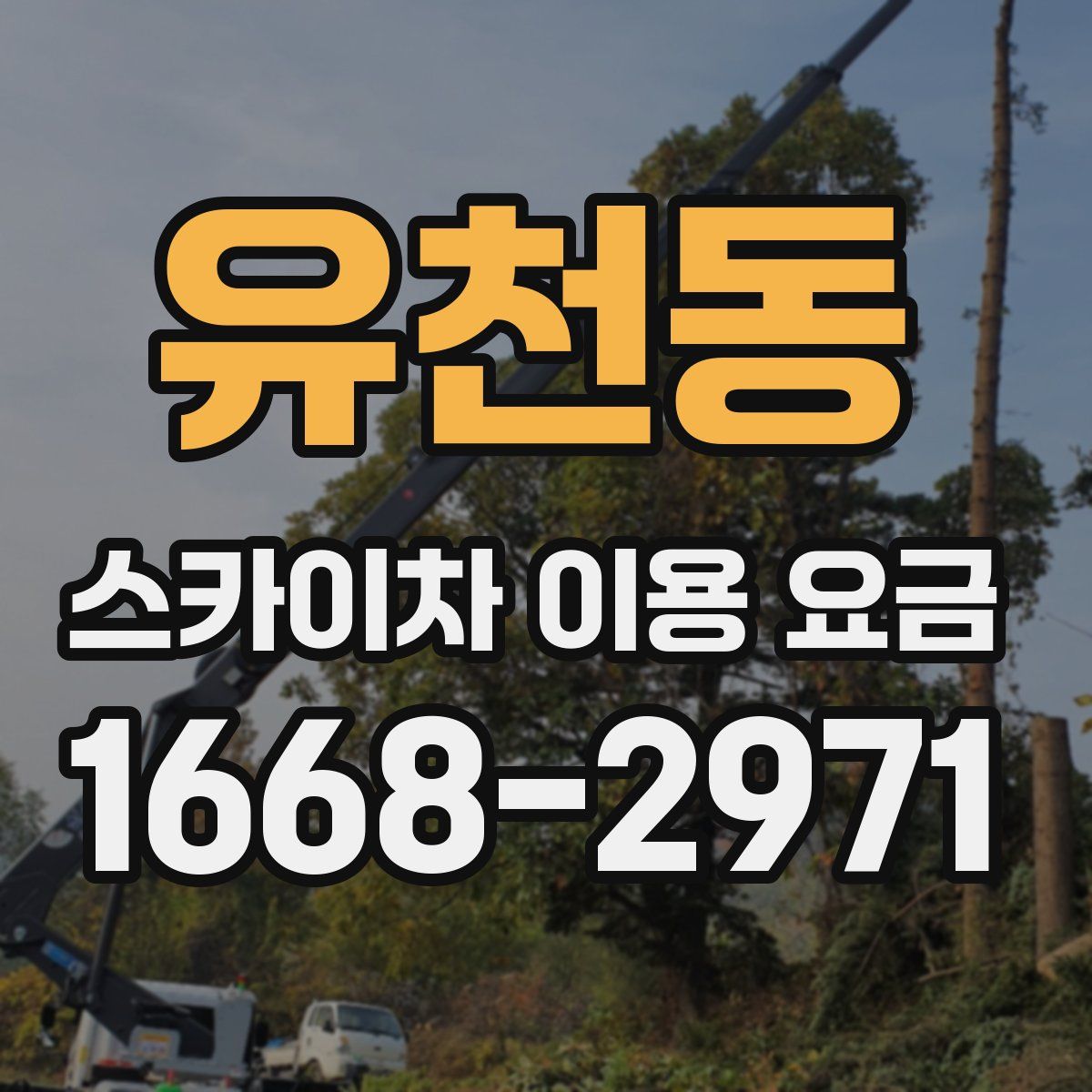 유천동 스카이차 이용 요금