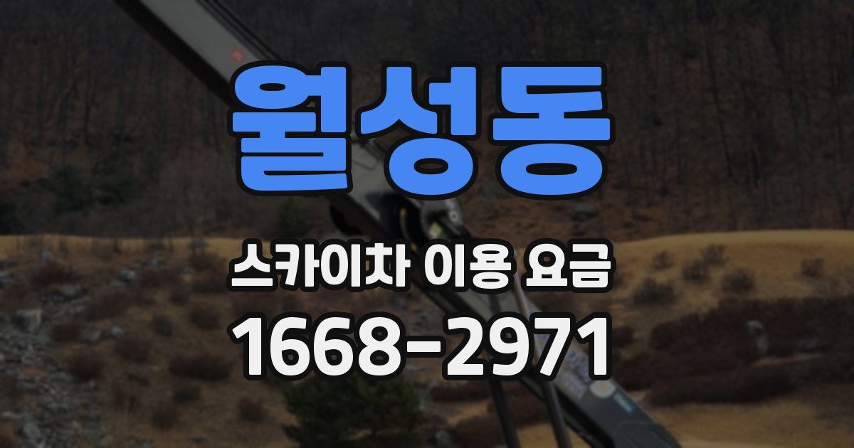 월성동 스카이차 이용 요금