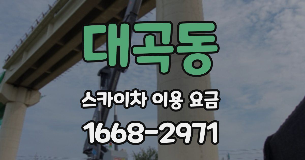대곡동 스카이차 이용 요금