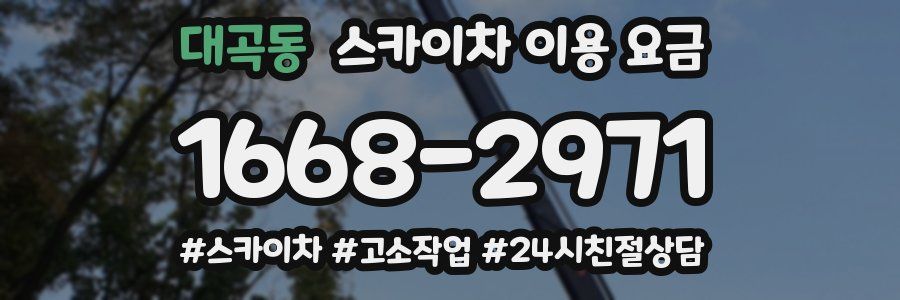 대곡동 스카이차 이용 요금