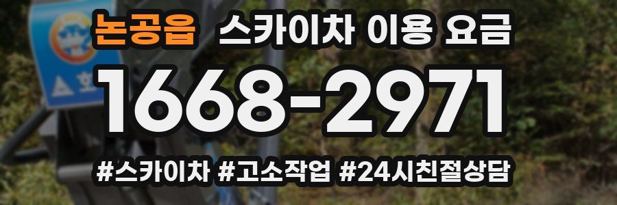 논공읍 스카이차 이용 요금