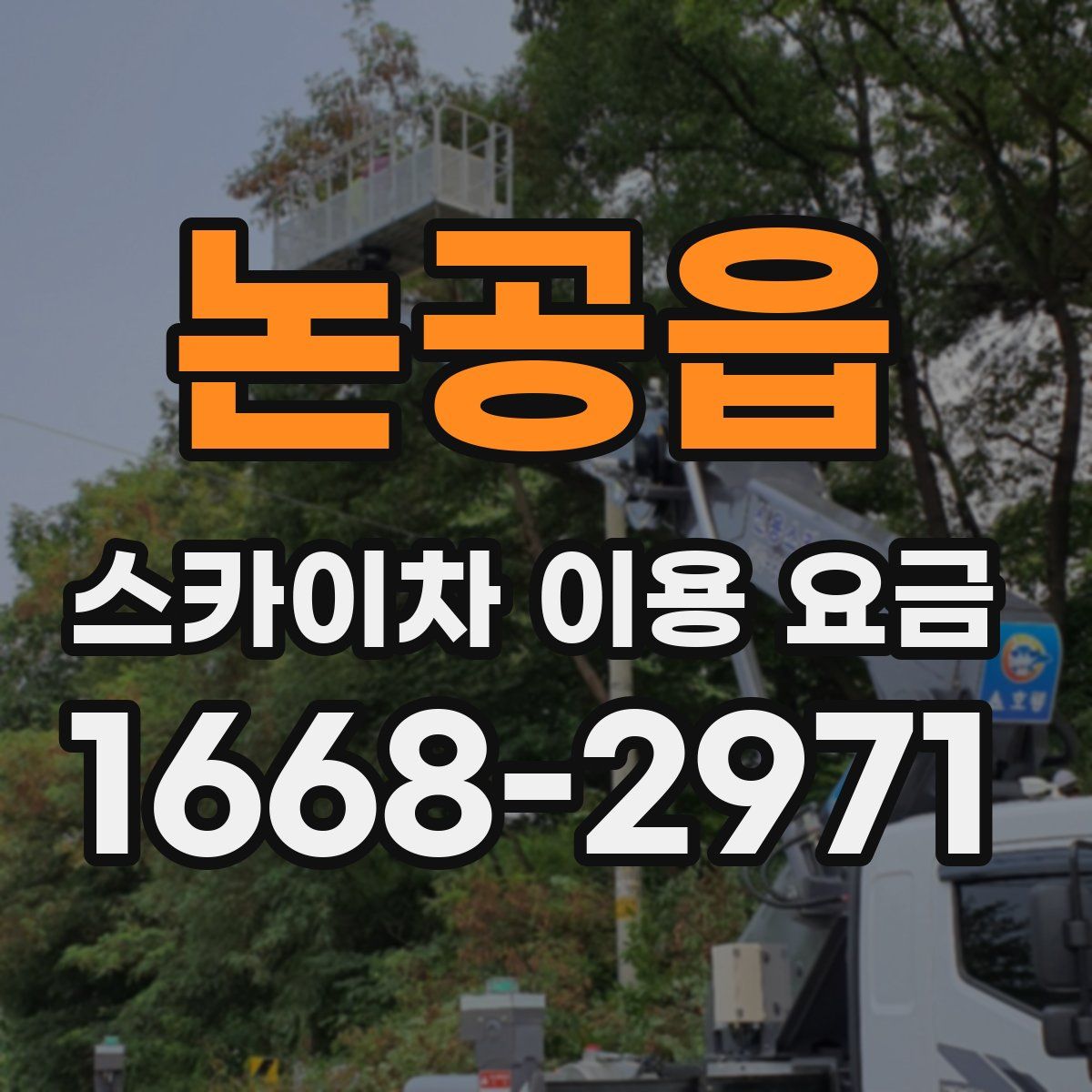 논공읍 스카이차 이용 요금
