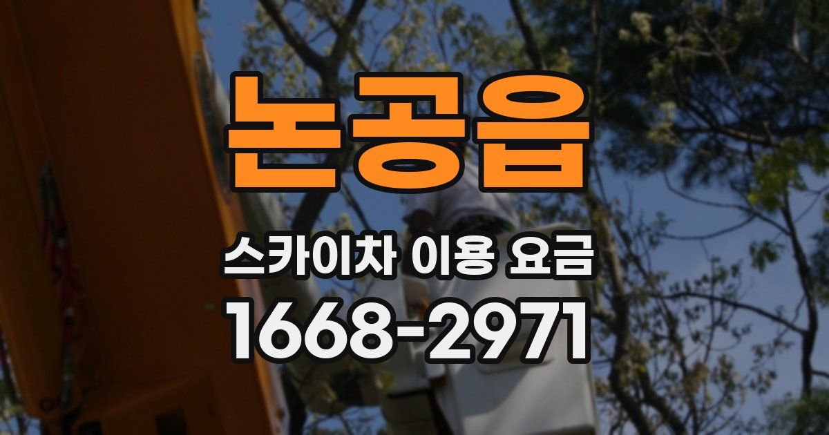 논공읍 스카이차 이용 요금