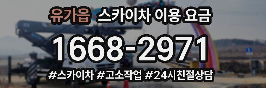 유가읍 스카이차 이용 요금