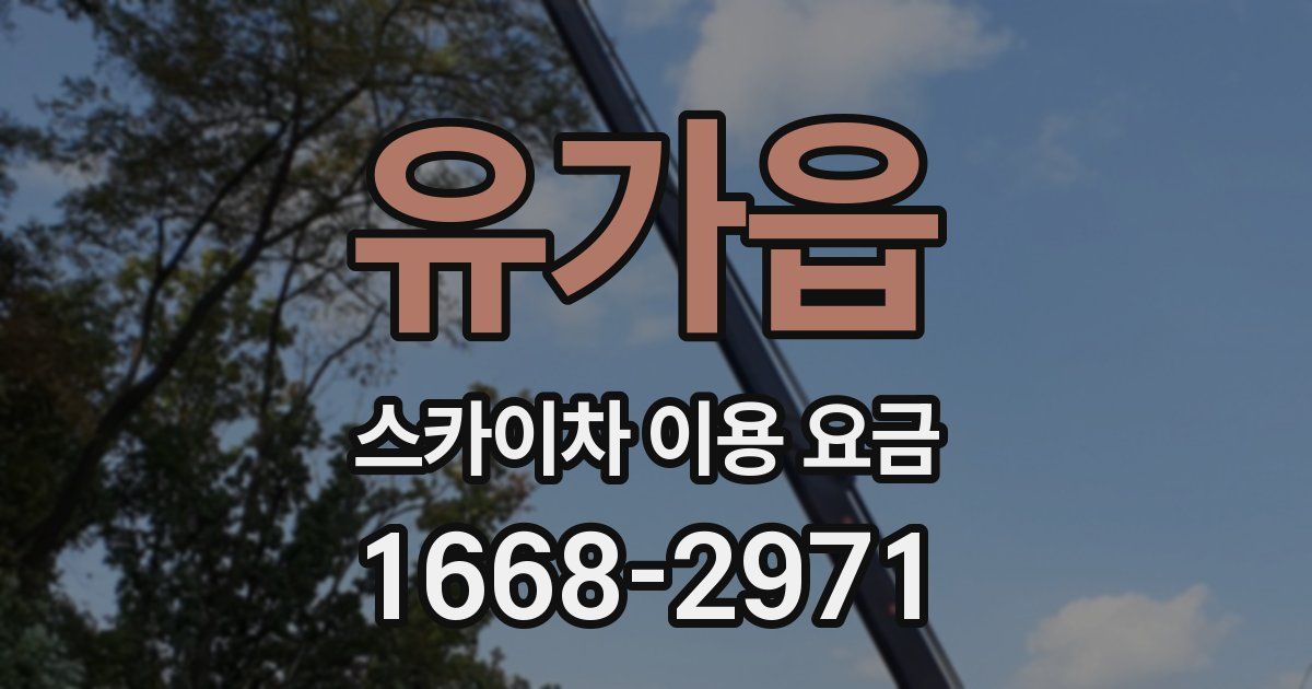 유가읍 스카이차 이용 요금