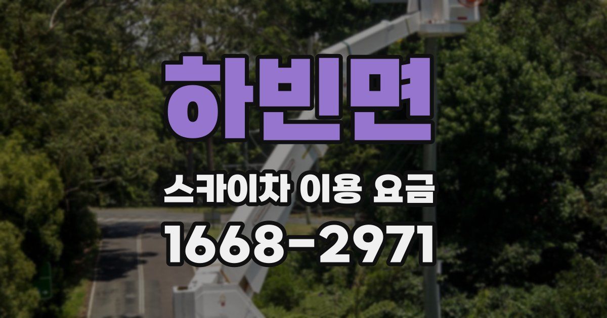 하빈면 스카이차 이용 요금